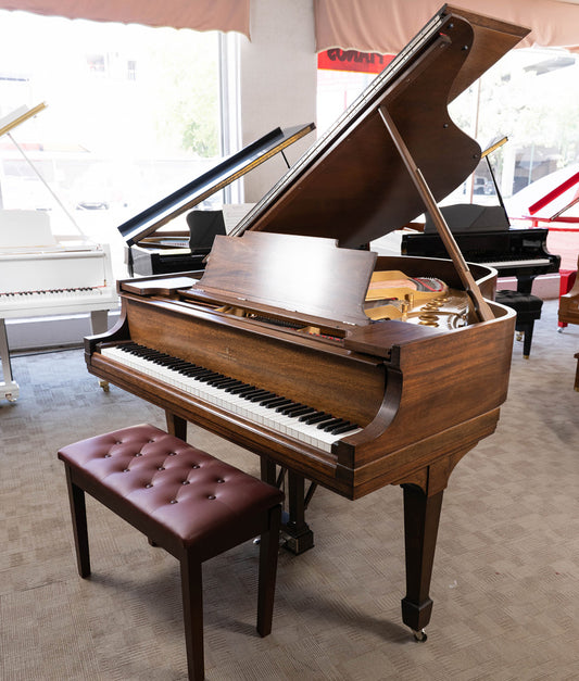 1925 Steinway Model M Grand Piano | Satin Walnut | Used
