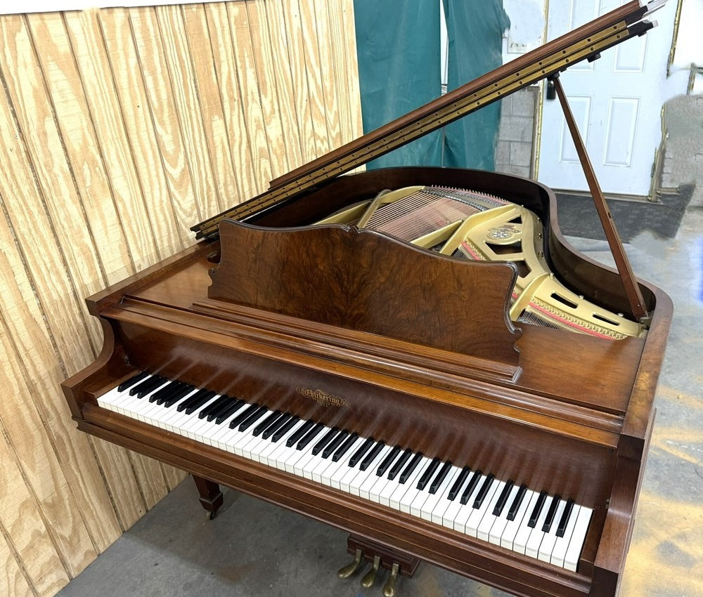 Chickering 5'4" Baby Grand | Satin Walnut | SN: 152316 | Used