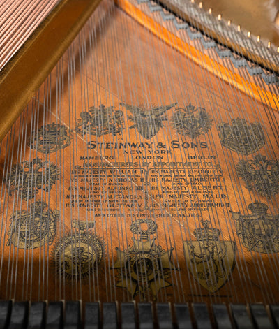 1904 Steinway Model A 6'2" Grand Piano | Satin Ebony | Used