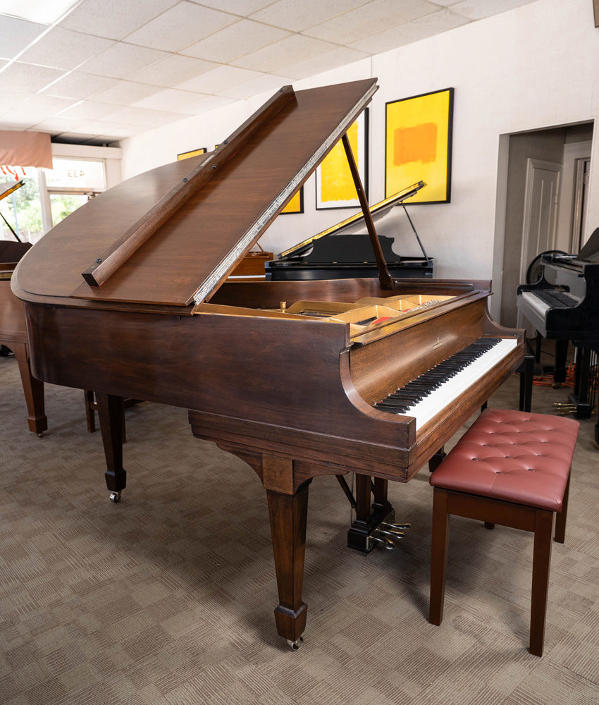 1925 Steinway Model M Grand Piano | Satin Walnut | Used