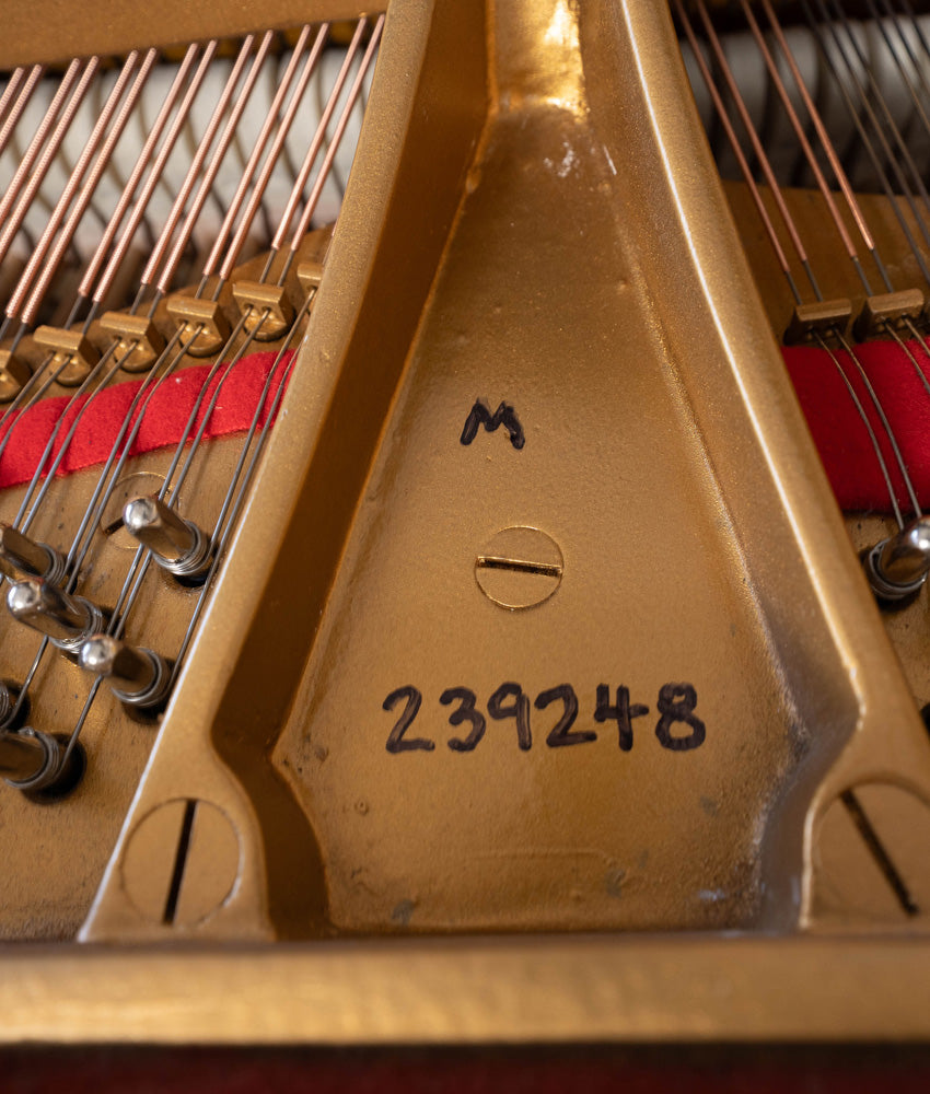 1925 Steinway Model M Grand Piano | Satin Walnut | Used