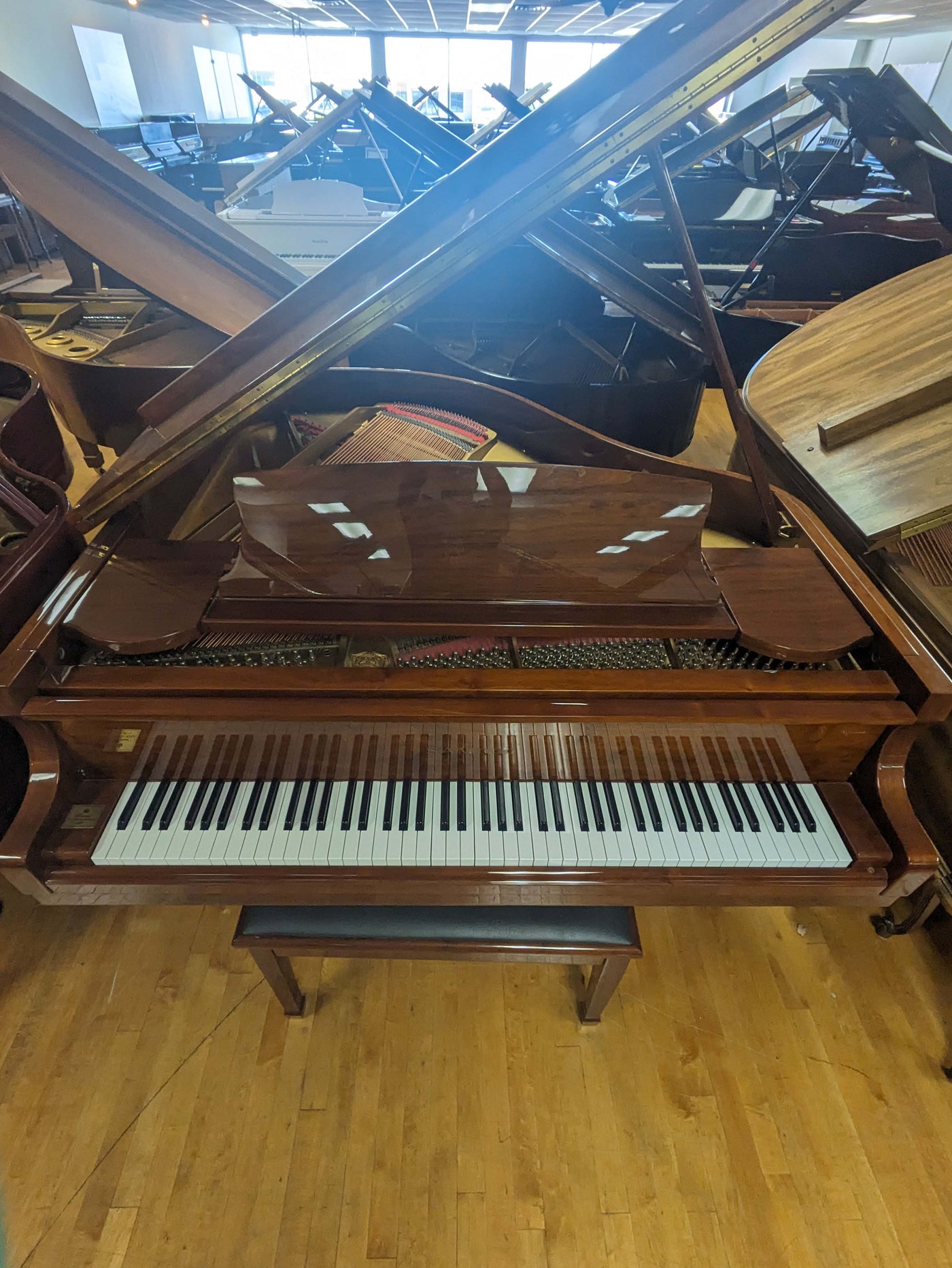Samick SG-155 Grand Piano | Polished Walnut | SN: HHJG0495 | Used