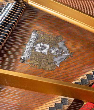 Sojin RG2 5'10" Grand Piano – Polished Ebony | Used
