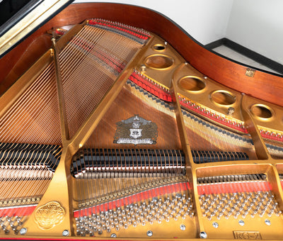Sojin RG2 5'10" Grand Piano – Polished Ebony | Used