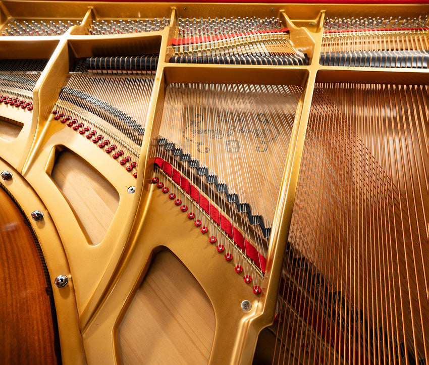 Story & Clark Grand Piano | Polished Ebony | SN: DG25511 | Used