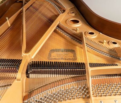 1985 Kawai KG-5D Grand Piano | Satin Walnut | 6'8" | Serial No. 1613057 | Used