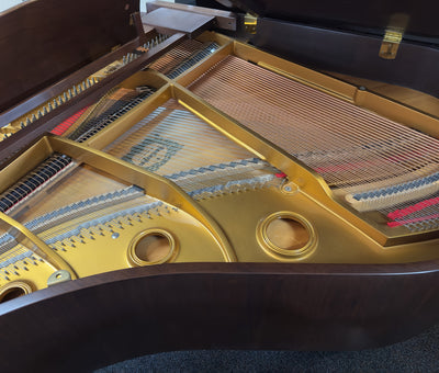 Young Chang G157 Grand Piano | Walnut Satin | 5'2" | Serial No. G077994 | Used