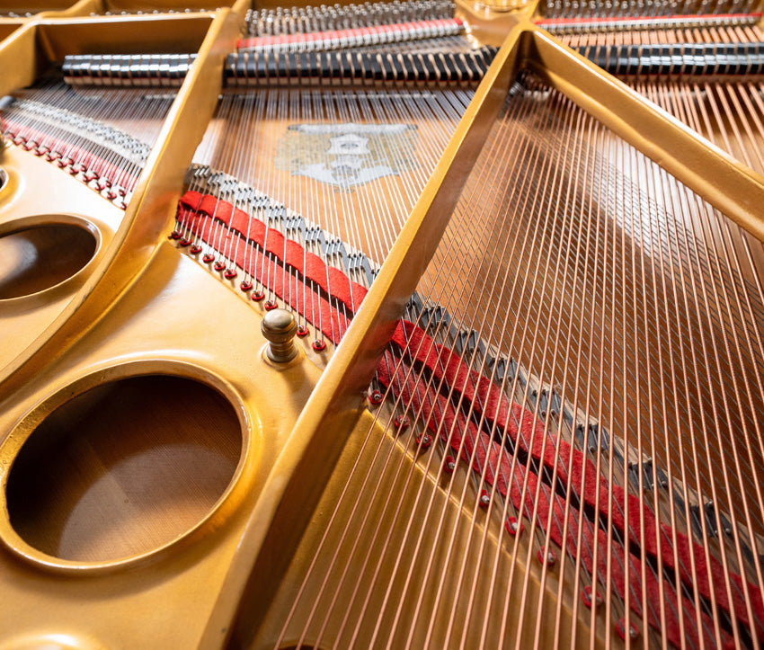 Sojin RG2 5'10" Grand Piano – Polished Ebony | Used