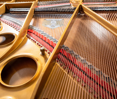 Sojin RG2 5'10" Grand Piano – Polished Ebony | Used
