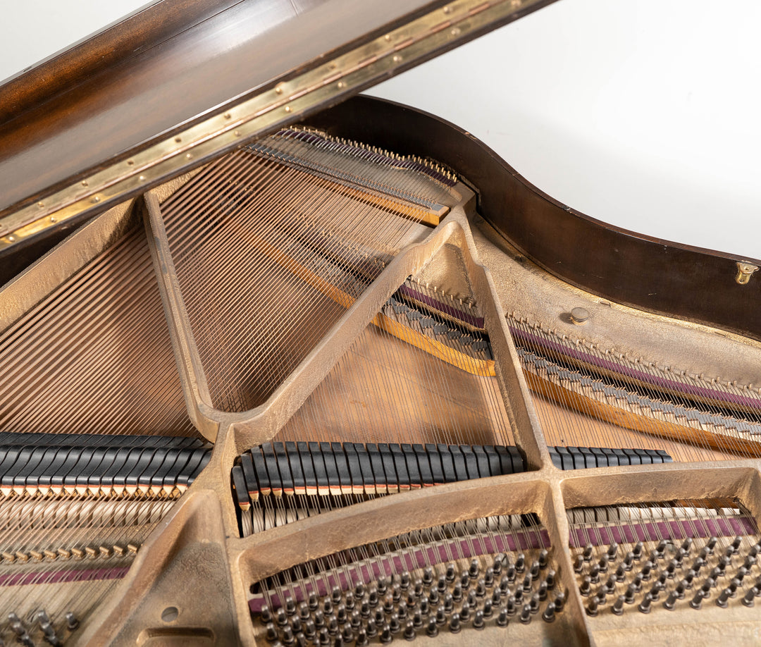 1963 Winter Baby Grand Piano | Dark Mahogany | 4'6