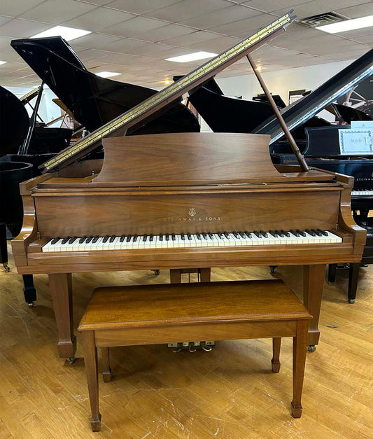 1971 Steinway Model M Grand Piano | Satin Walnut | SN: 425726 | Used