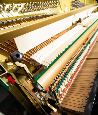 Cable Nelson CN116 Upright Piano | Polished Ebony | SN: H0224713 | Used