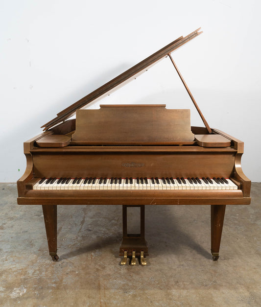Chickering Grand Piano | Satin Walnut | Used