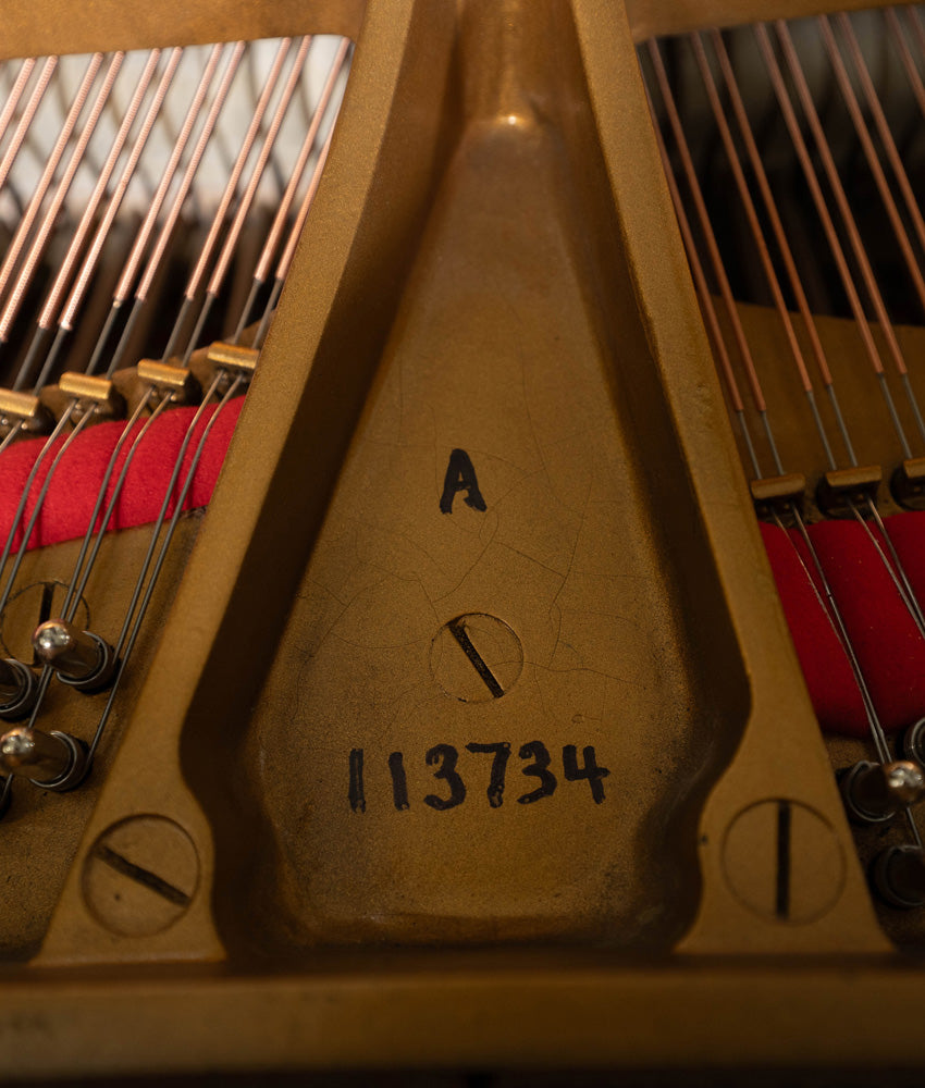1904 Steinway Model A 6'2" Grand Piano | Satin Ebony | Used