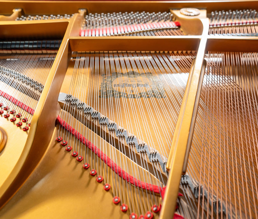 1999 Young Chang TG150 4'11" Grand Piano | Polished Ebony | Used