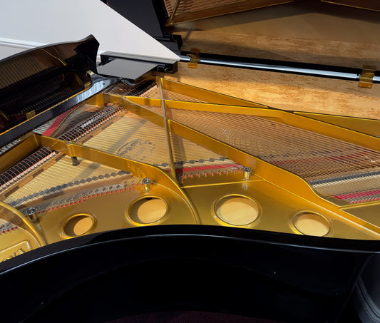 2020 Estonia 190 Grand Piano | Polished Ebony | 6'3" | Used