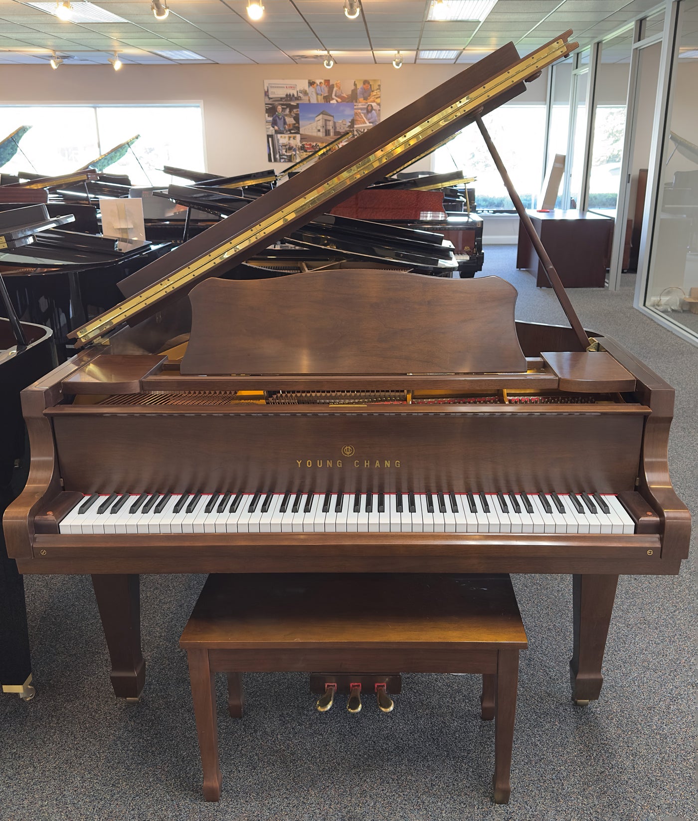 Young Chang G157 Grand Piano | Walnut Satin | 5'2" | Serial No. G077994 | Used