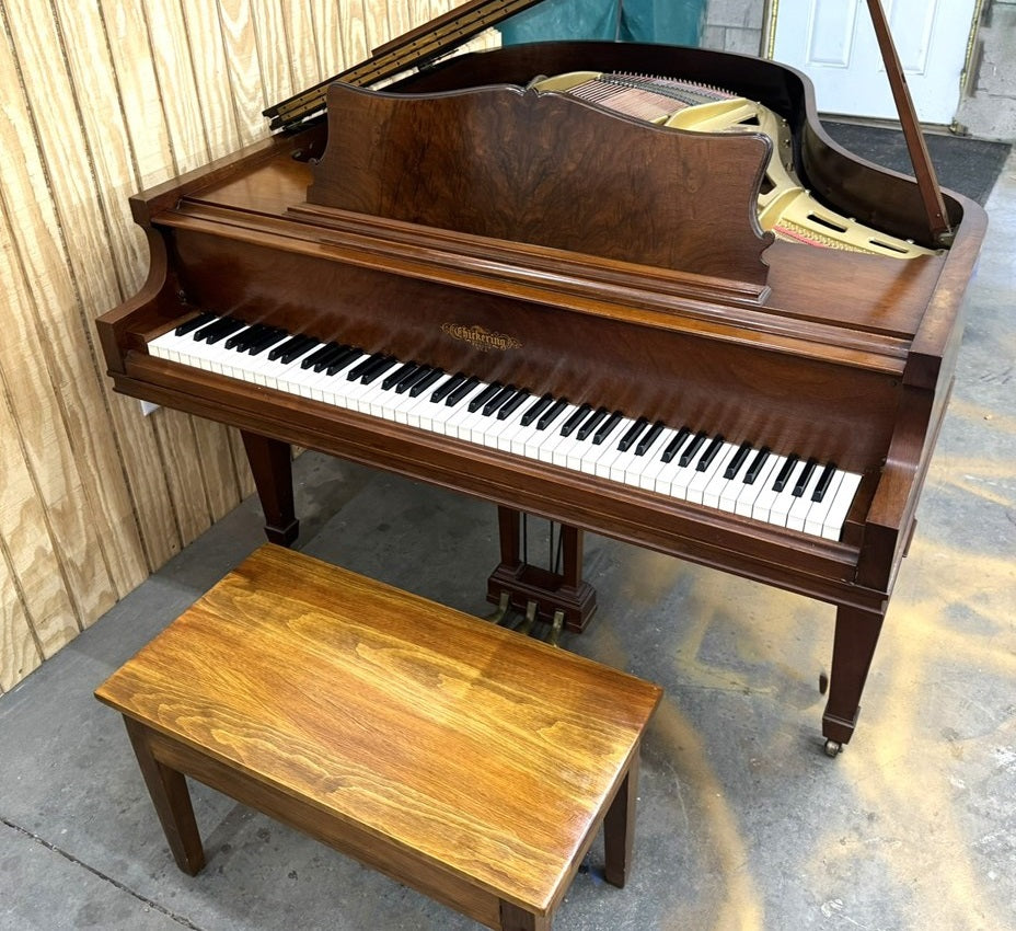 Chickering 5'4" Baby Grand | Satin Walnut | SN: 152316 | Used