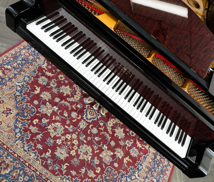 DSC08097copy_720x.jpg?v=1732226551