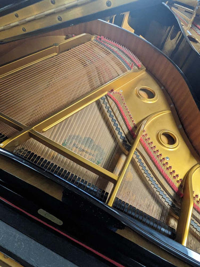 Bergmann TG-150 Grand Piano | Polished Ebony | SN: TG0007090 | Used