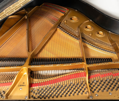 1965 Baldwin Model M Grand Piano | Satin Ebony | 5'2" | Serial No.156681 | Used