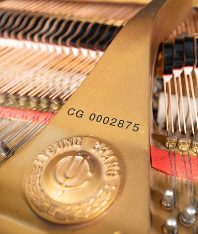 1999 Young Chang TG150 4'11" Grand Piano | Polished Ebony | Used