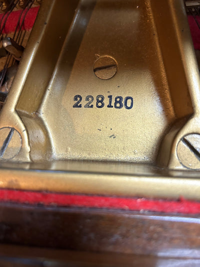 Steinway Model A Grand Piano | Polished Walnut | SN:228180 | Used