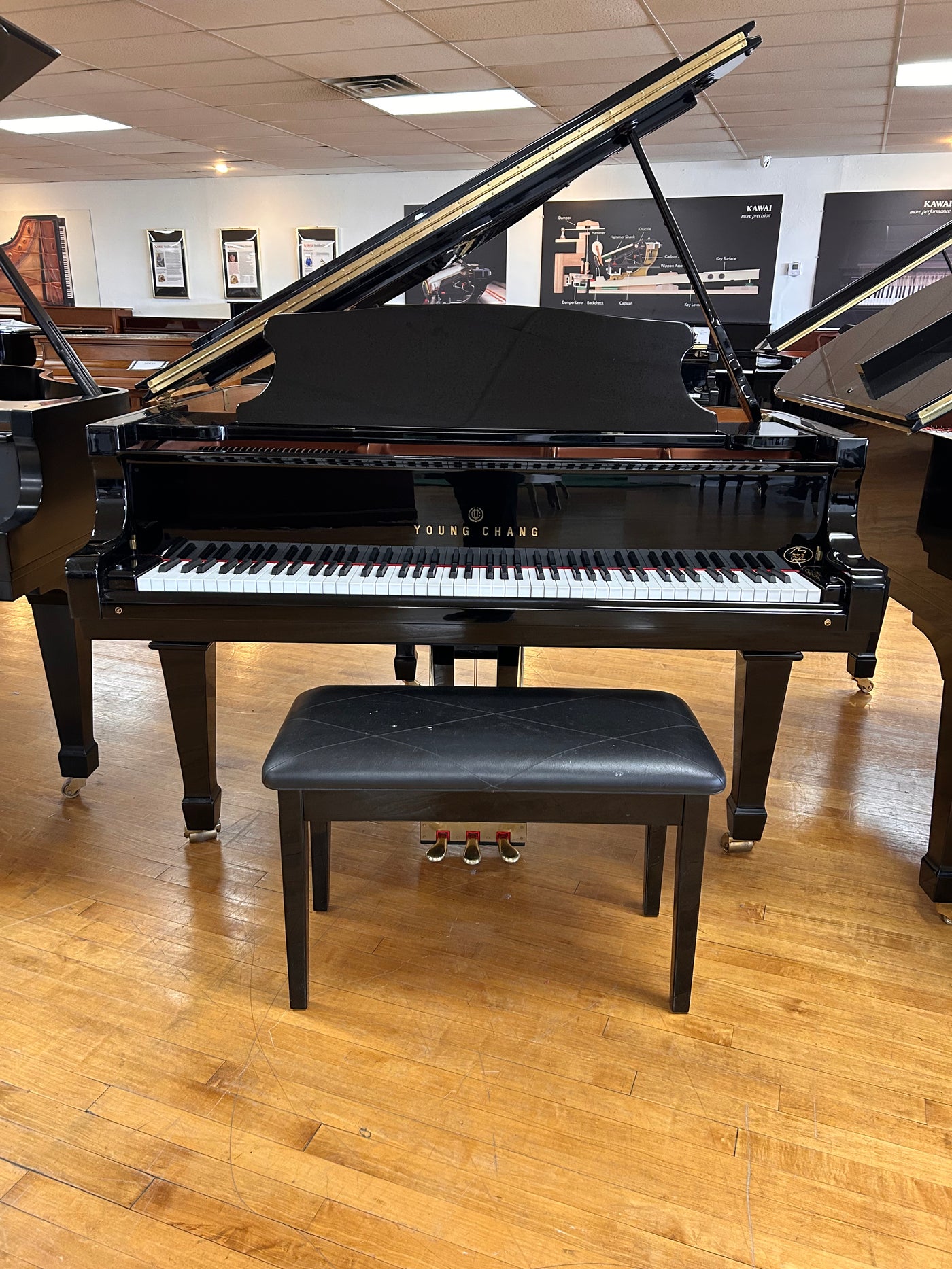 Young Chang PG-150 Grand Piano | Polished Ebony | 5'0" | Used – Alamo ...