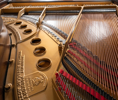 1925 Steinway Model M Grand Piano | Satin Walnut | Used