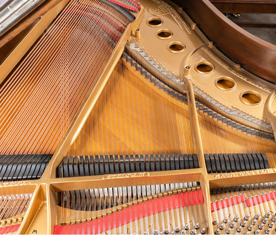 1925 Steinway Model M Grand Piano | Satin Walnut | Used