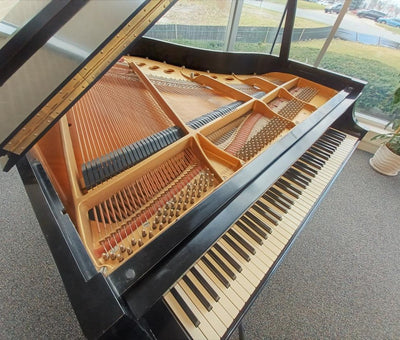 Steinway & Sons Model M Grand Piano | Satin Ebony | #395304 | Used