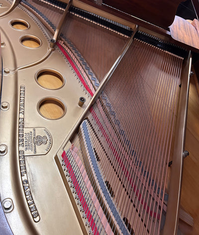 1903 Steinway & Sons Model O Walnut Living Room Grand Piano - Serial no. 109428 | Used