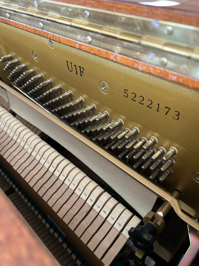 Yamaha U1F Upright Piano | Polished Walnut | SN: 187557