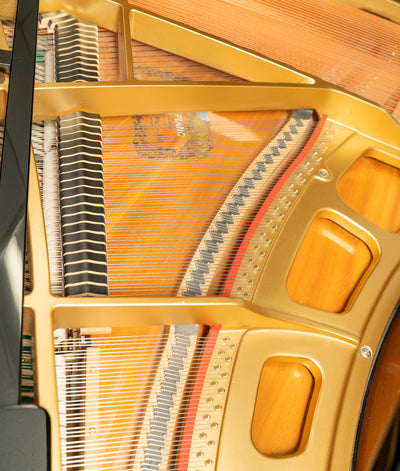 Kawai 5'0" GM10 Grand Piano | Polished Ebony | SN: 2417022
