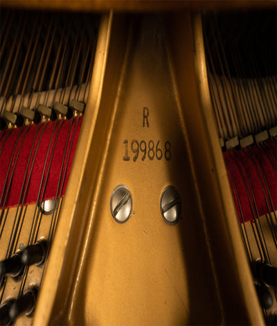 1996 Baldwin 5'8 " R Grand Piano | Walnut | SN: 199868 | Used