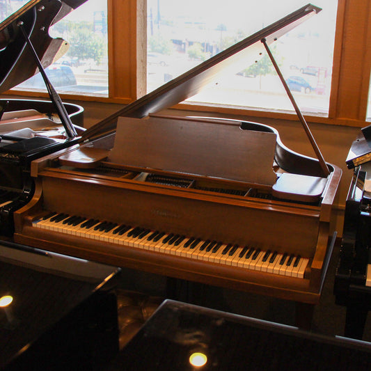 Chickering Grand Piano | Satin Walnut | Used