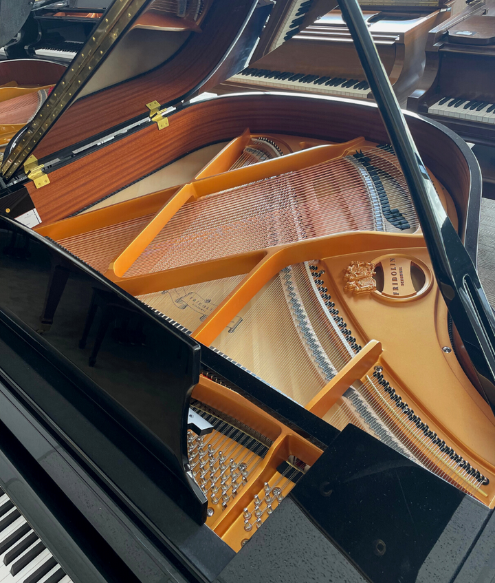 New Grand Piano, Fridolin 5'1