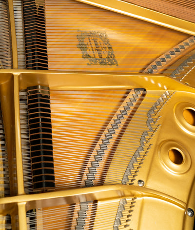 Yamaha 7'4" C7 Conservatory Grand Piano | Polished Ebony