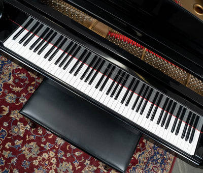 Otto Altenberg OA-501 Grand Piano | Polished Ebony | Used