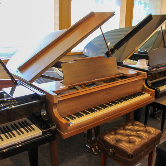 Chickering Grand Piano | Satin Walnut | Used